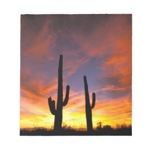 Bloc-note Amérique du Nord, États-Unis, Arizona, désert de S