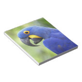 Bloc-note Amérique du Sud, Brésil, Pantanal (Incliné)