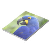 Bloc-note Amérique du Sud, Brésil, Pantanal (Tourné)