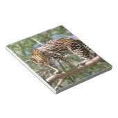 Bloc-note Amérique du Sud, Equateur, Amazonie. Ocelot (Incliné)