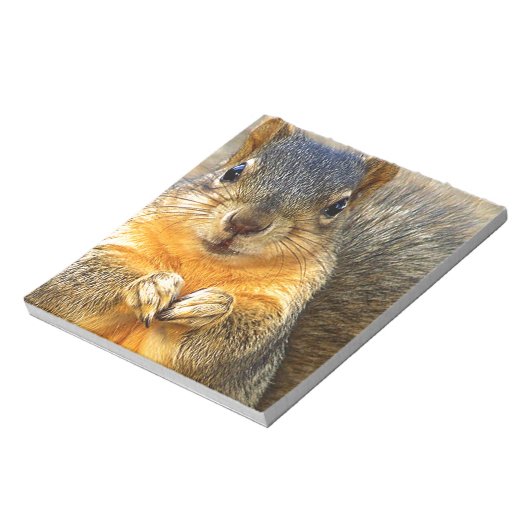 Bloc-note Amour des écureuils_ (Tourné)