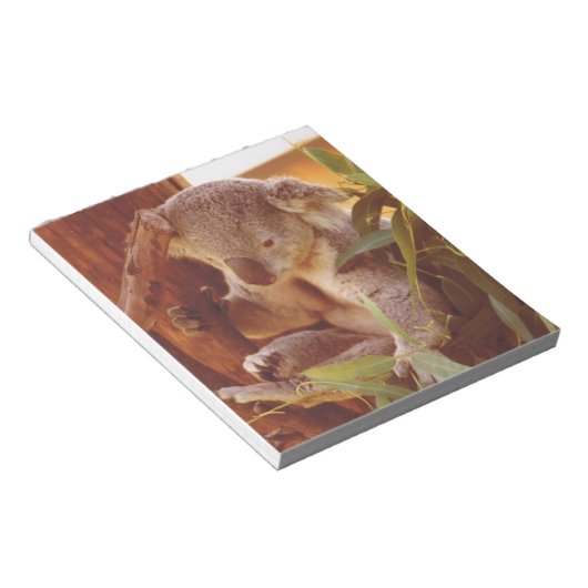 Bloc-note Amour Koala (Incliné)