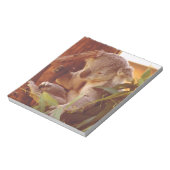 Bloc-note Amour Koala (Tourné)