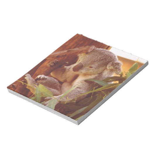 Bloc-note Amour Koala (Tourné)