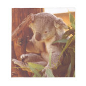 Bloc-note Amour Koala (Devant)