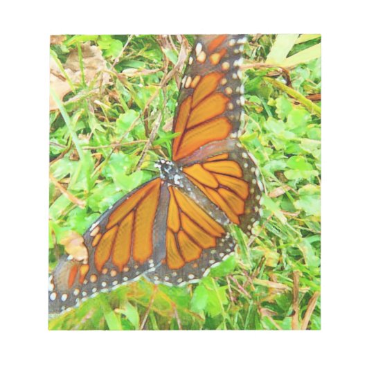 Bloc-note Amour naturel (Devant)