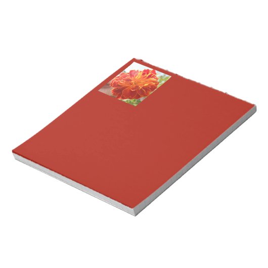 Bloc-note Anastaise (Tourné)