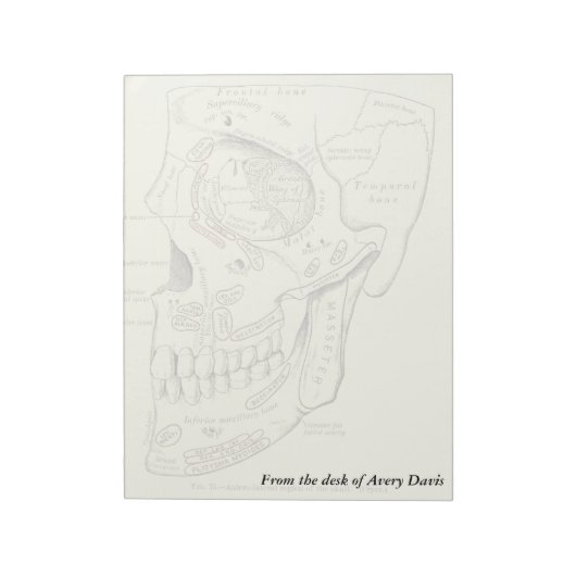 Bloc-note Anatomie vintage Région antérolatérale du crâne (Tourné)
