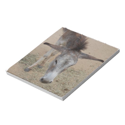 Bloc-note Âne à longue échéance (Tourné)