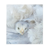 Bloc-note animal, bébé, plumes, mignonette, moelleuse, douce (Devant)