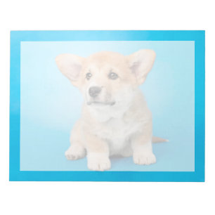 Bloc-note Animaux Bébés les Plus Mignons Chiot Corgi sur F