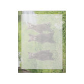 Bloc-note Animaux Bébés les Plus Mignons | Oursons Bruns de (Tourné)