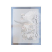 Bloc-note Animaux de bébés cutest | 3 Tabby Kittens (Tourné)