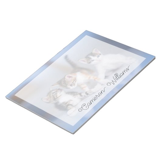 Bloc-note Animaux de bébés cutest | 3 Tabby Kittens (Incliné)