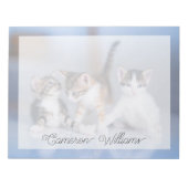 Bloc-note Animaux de bébés cutest | 3 Tabby Kittens (Devant)