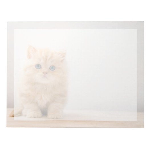 Bloc-note Animaux de bébés cutest | A British Longhair Kitte (Devant)