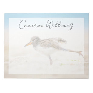 Bloc-note Animaux de bébés cutest   American Oystercatcher C