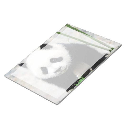 Bloc-note Animaux de bébés cutest | Baby Panda Bear (Incliné)