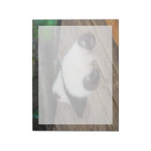 Bloc-note Animaux de bébés cutest | Bébé Géant Panda Dormir (Tourné)
