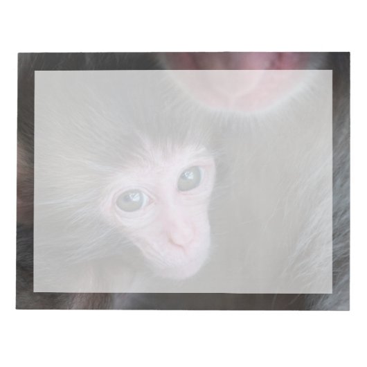 Bloc-note Animaux de bébés cutest | Bébé Macaque singe et mè (Devant)