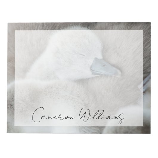 Bloc-note Animaux de bébés cutest | Bébé Mute Swan (Devant)