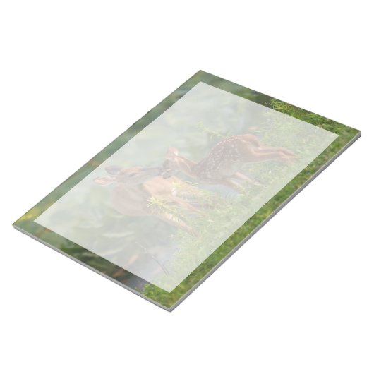 Bloc-note Animaux de bébés cutest | Cerf et bébé (Incliné)