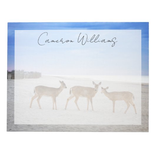 Bloc-note Animaux de bébés cutest | Cerfs sur la plage (Devant)