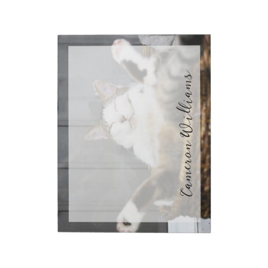 Bloc-note Animaux de bébés cutest | Chat dans le lit (Tourné)