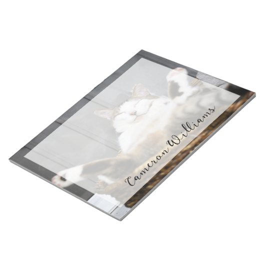 Bloc-note Animaux de bébés cutest | Chat dans le lit (Incliné)