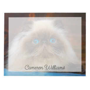 Bloc-note Animaux de bébés cutest Chat himalayen