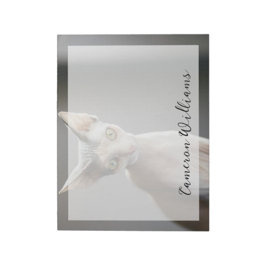 Bloc-note Animaux de bébés cutest | Chat Sphinx (Tourné)