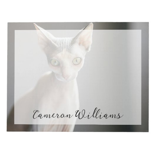 Bloc-note Animaux de bébés cutest | Chat Sphinx (Devant)