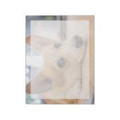 Bloc-note Animaux de bébés cutest | Chiot de Corgi au sol (Tourné)