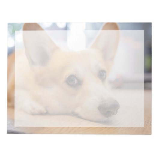 Bloc-note Animaux de bébés cutest | Chiot de Corgi au sol (Devant)