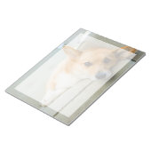Bloc-note Animaux de bébés cutest | Chiot de Corgi sur canap (Incliné)