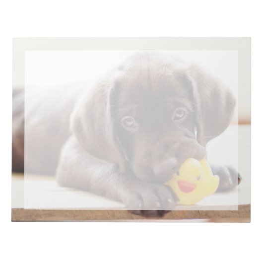 Bloc-note Animaux de bébés cutest | Chocolat Labrador Puppy (Devant)