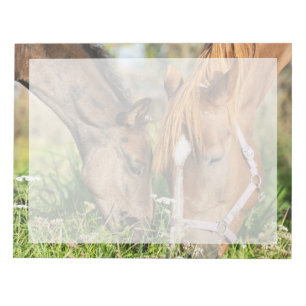 Bloc-note Animaux de bébés cutest Colt à cheval