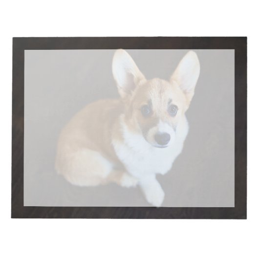 Bloc-note Animaux de bébés cutest | Corgi levant les yeux (Devant)