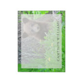 Bloc-note Animaux de bébés cutest | Cube d'ours Brown (Tourné)