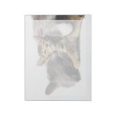 Bloc-note Animaux de bébés cutest | Cute Kitten Hug (Tourné)