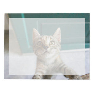 Bloc-note Animaux de bébés cutest Cute Tabby Kitten