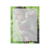 Bloc-note Animaux de bébés cutest | Deux jeunes chimpanzés (Tourné)