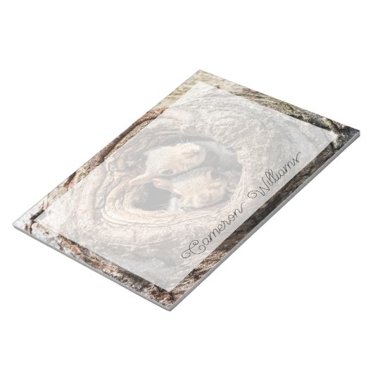 Bloc-note Animaux de bébés cutest | Deux jeunes écureuils (Incliné)