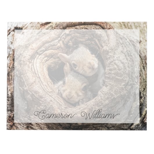 Bloc-note Animaux de bébés cutest | Deux jeunes écureuils (Devant)