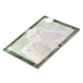 Bloc-note Animaux de bébés cutest | Deux jeunes hiboux (Incliné)