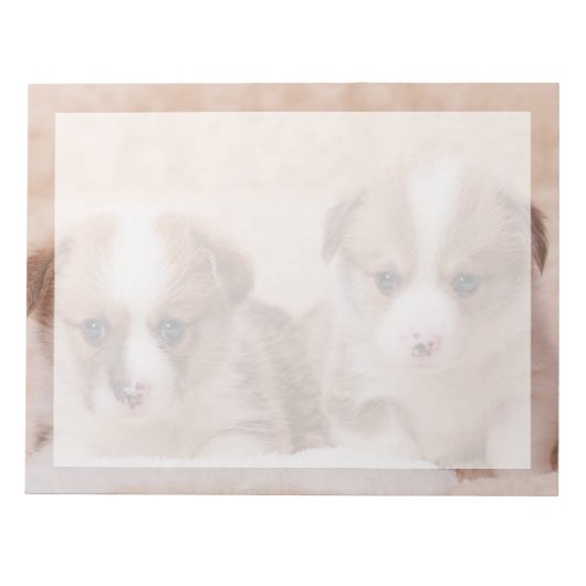 Bloc-note Animaux de bébés cutest | Deux Marionnettes Corgi (Devant)