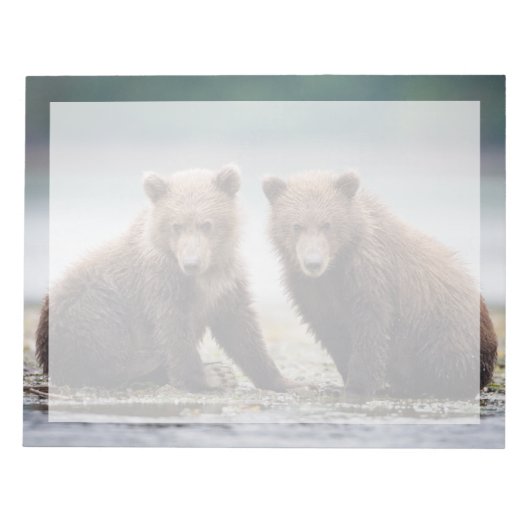 Bloc-note Animaux de bébés cutest | Deux petits ours d'ours (Devant)