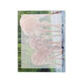 Bloc-note Animaux de bébés cutest | Fawn with Babies (Tourné)