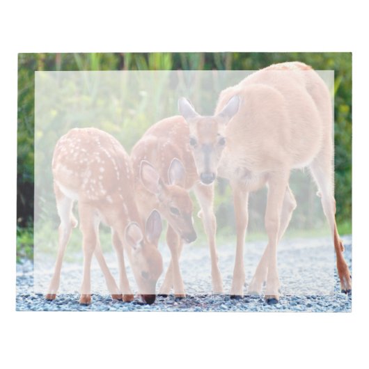 Bloc-note Animaux de bébés cutest | Fawn with Babies (Devant)