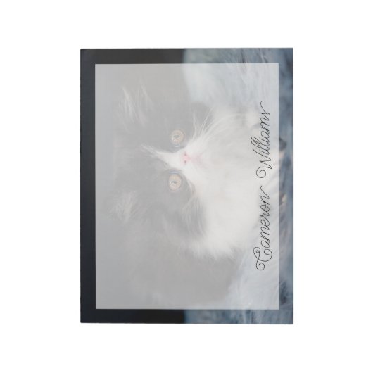 Bloc-note Animaux de bébés cutest | Fluffy B&W Kitten (Tourné)